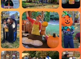 Fall Festivities Fairy Tale Forest Fall Festivities Fairy Tale Forest